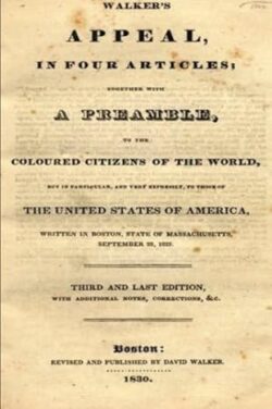 Walker's Appeal Paperback